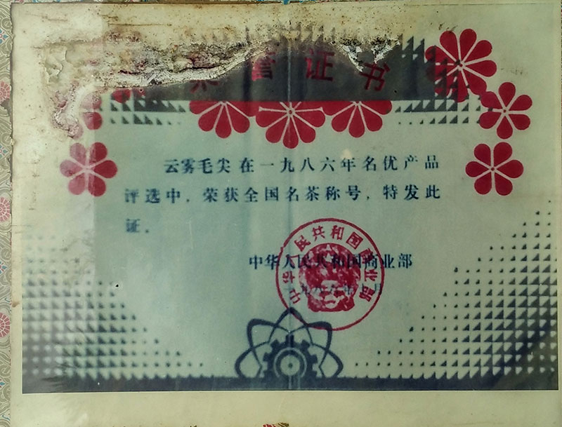 雲霧毛尖全國(guó)名茶