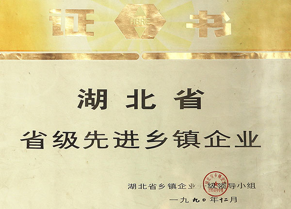 省級(jí)先進(jìn)鄉(xiāng)鎮企業(yè)