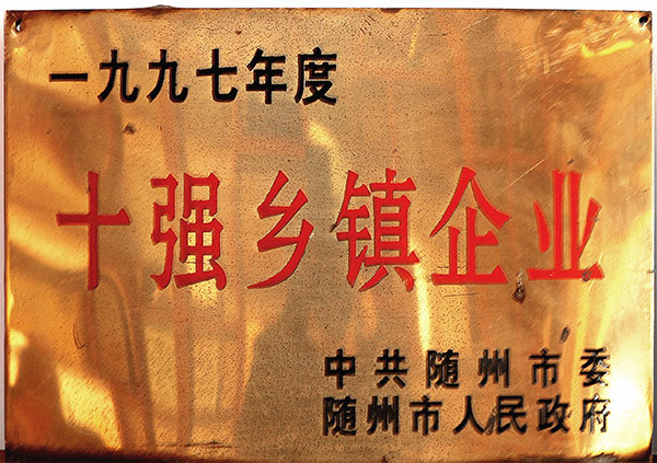 十強(qiáng)鄉(xiāng)鎮