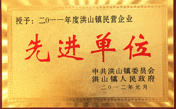 洪山鎮民營(yíng)企業(yè)先進(jìn)單位