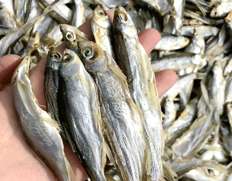 風(fēng)乾小魚