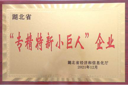 湖北省「專(zhuān)精特新小巨人」企業(yè)