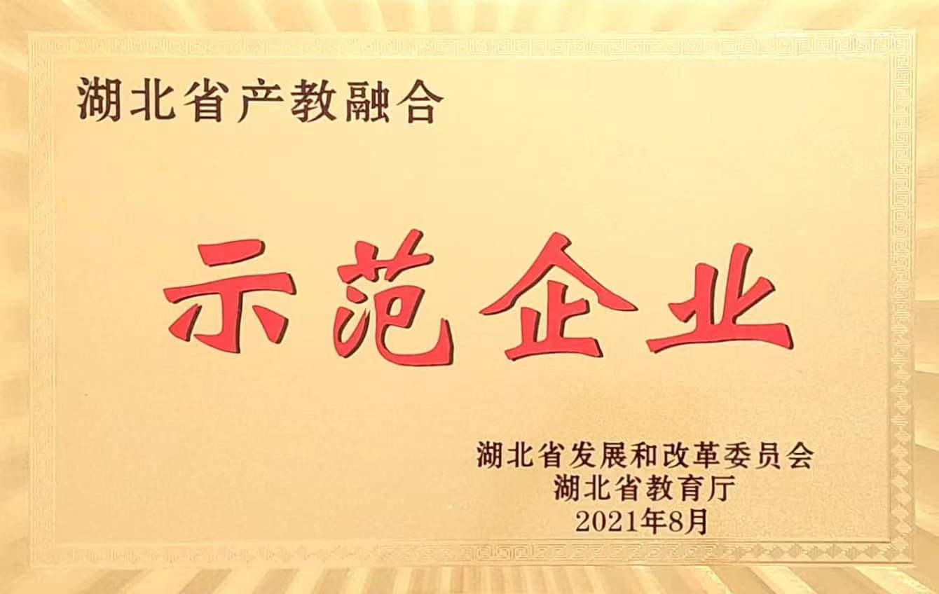 湖北省產(chǎn)教融合示範企業(yè)