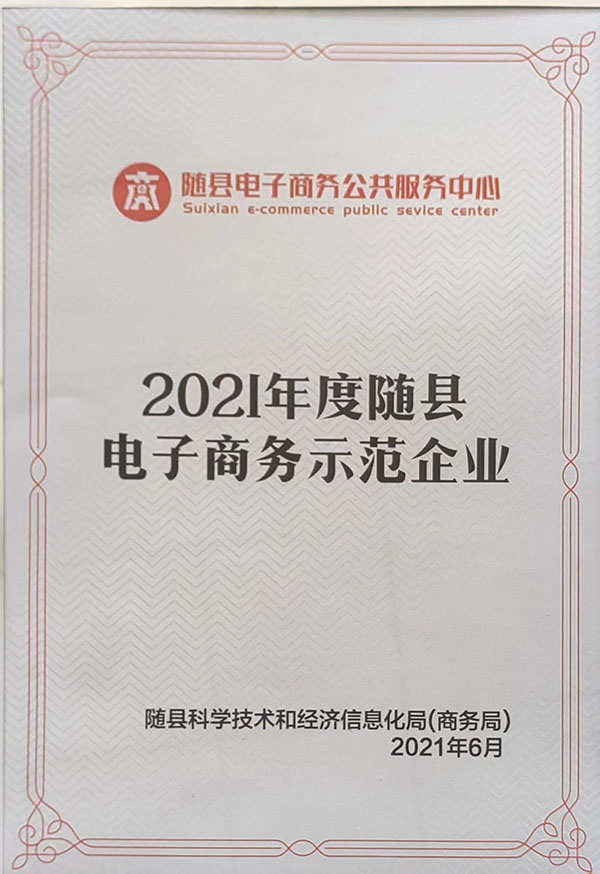2021年度隨縣電子商務(wù)示範企業(yè)
